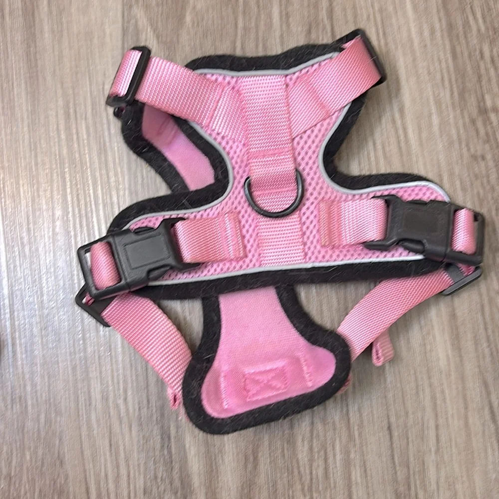 Small cat harness